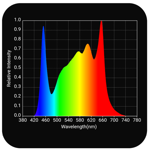 HLG 200 Rspec - Image 3