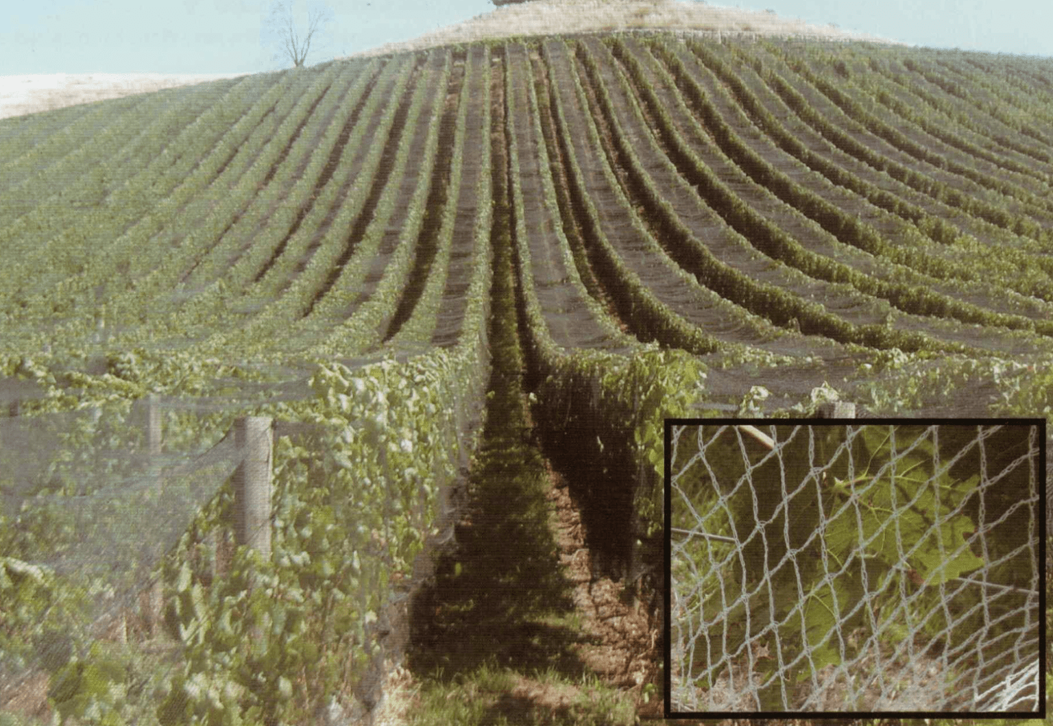 Home - ShadeClothStore.com